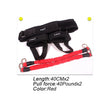Load image into Gallery viewer, Fitness Bounce Trainer Rope Leg Strength Equipment - TheFitnessFod