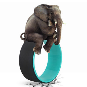 Yoga Wheel Training Tool - TheFitnessFod